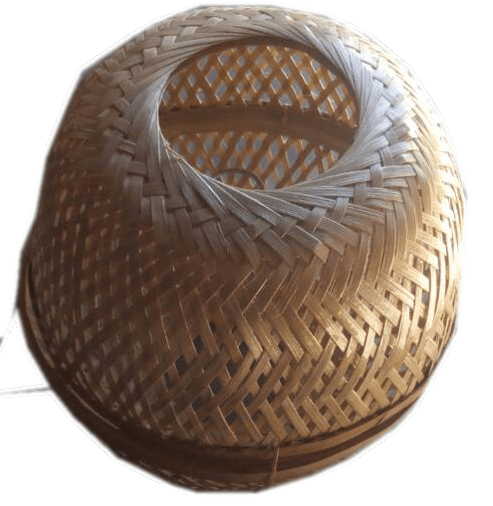 NEST